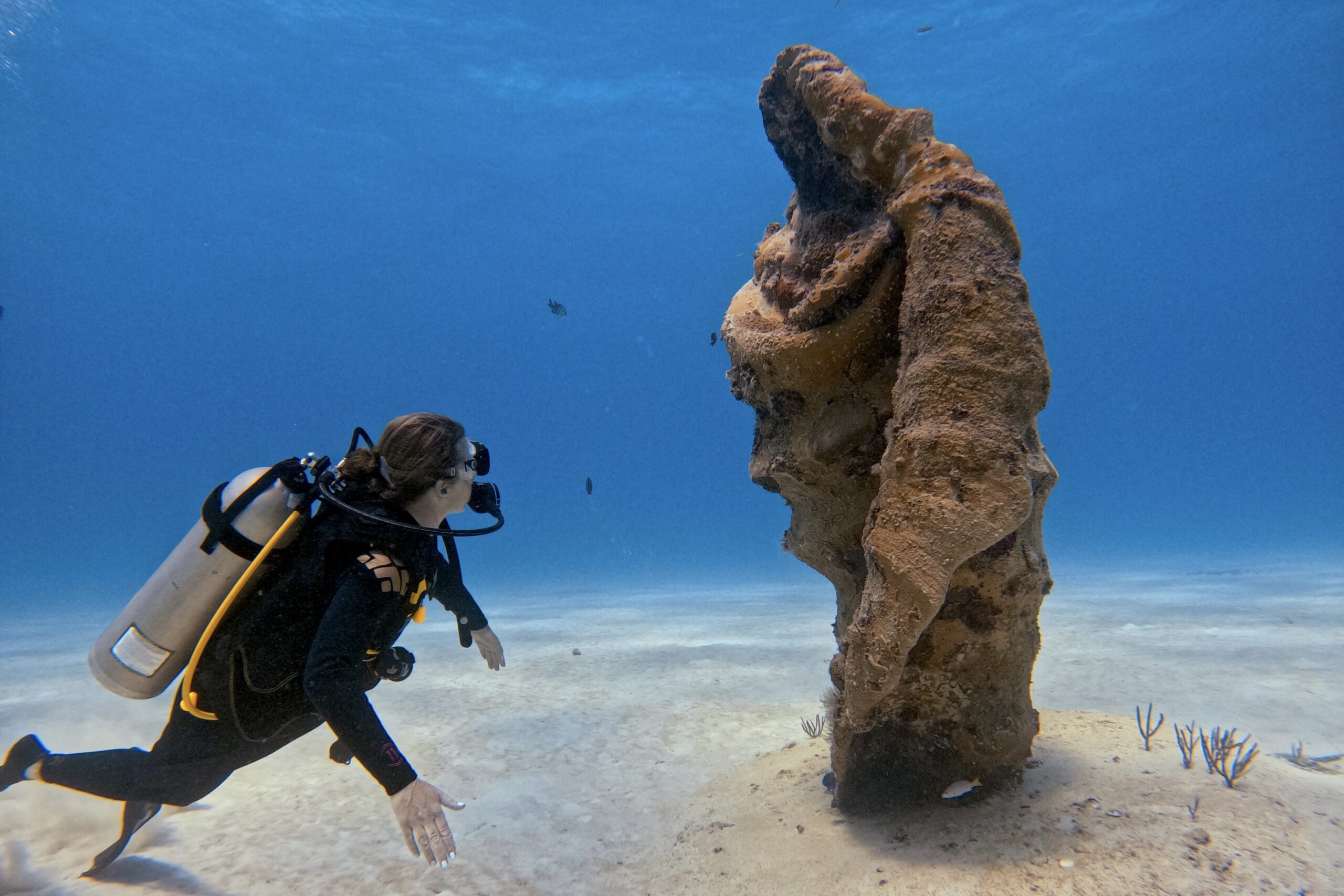 Die Tauchschule Playa del Carmen für nachhaltige und umweltbewusste Abenteuer